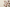 b2b skincare coreana premium